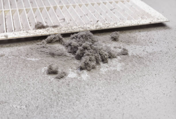 Best Home Air Vent Cleaning  in Leesburg, GA