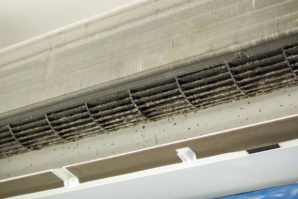 Best Air Duct Cleaning Near Me  in Leesburg, GA